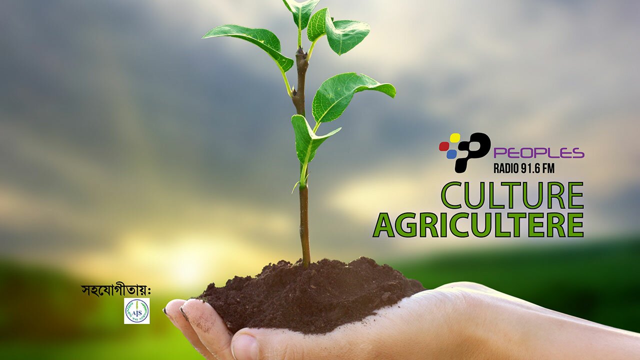 Culture-Agriculter